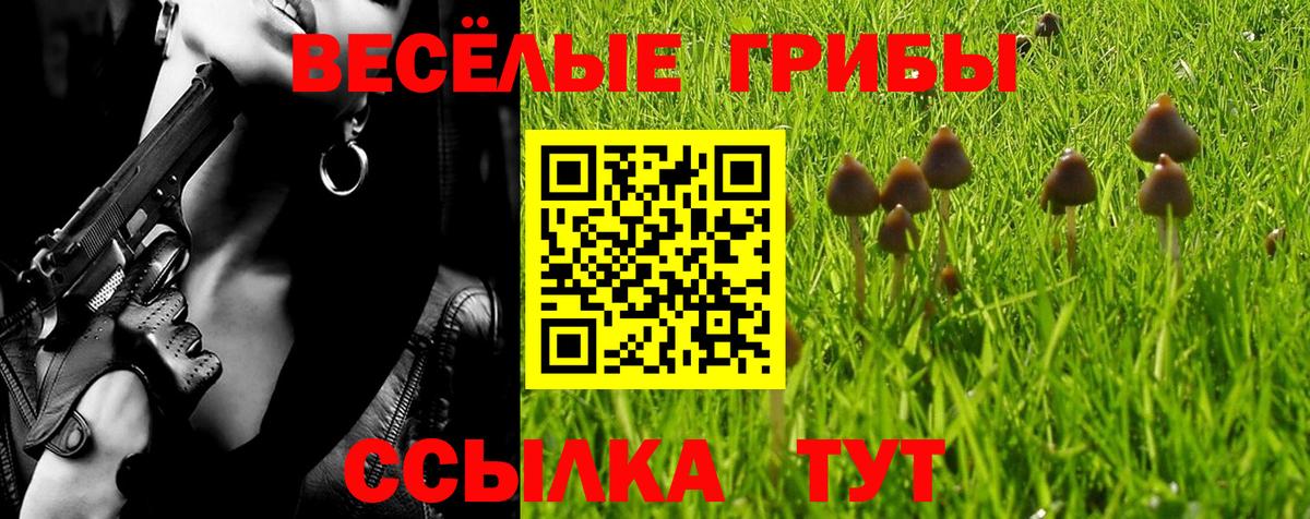Псилоцибиновые грибы прущие грибы Саратов