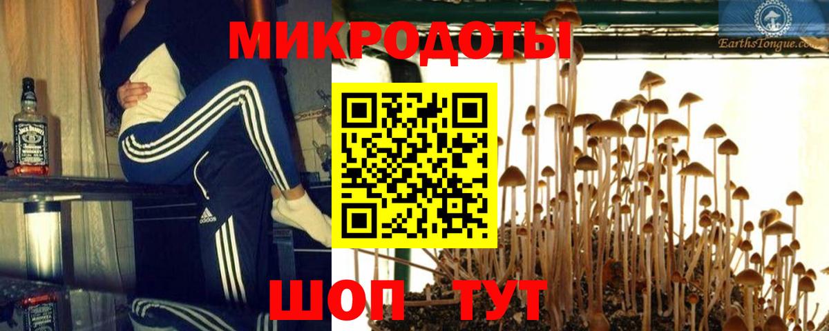 Псилоцибиновые грибы Cubensis  купить  цена  Саратов  Вход с VPN 